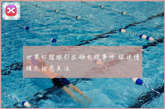 世界杯赌球引发砸电视事件 球迷情绪失控惹关注