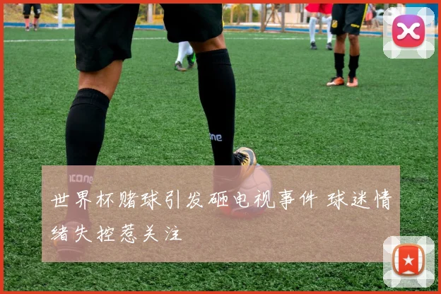 世界杯赌球引发砸电视事件 球迷情绪失控惹关注
