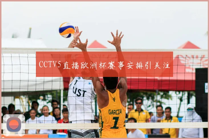 CCTV5直播欧洲杯赛事安排引关注