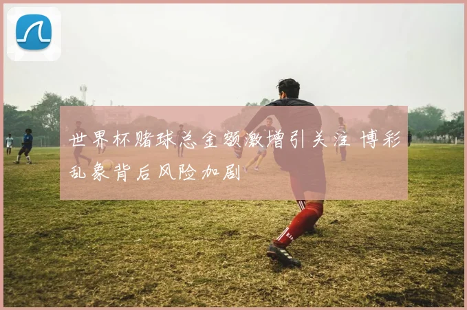 世界杯赌球总金额激增引关注 博彩乱象背后风险加剧