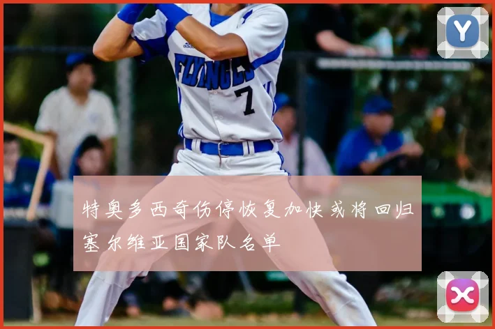 特奥多西奇伤停恢复加快或将回归塞尔维亚国家队名单