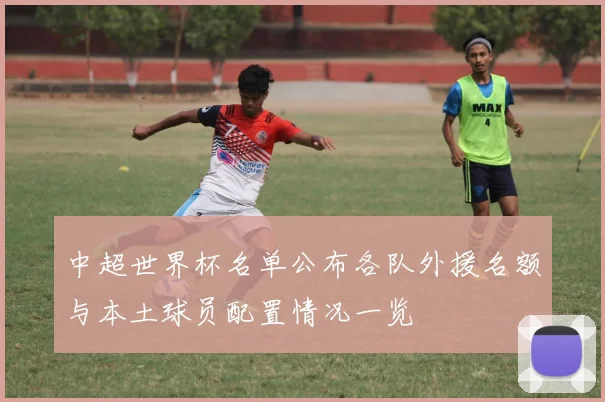 中超世界杯名单公布各队外援名额与本土球员配置情况一览
